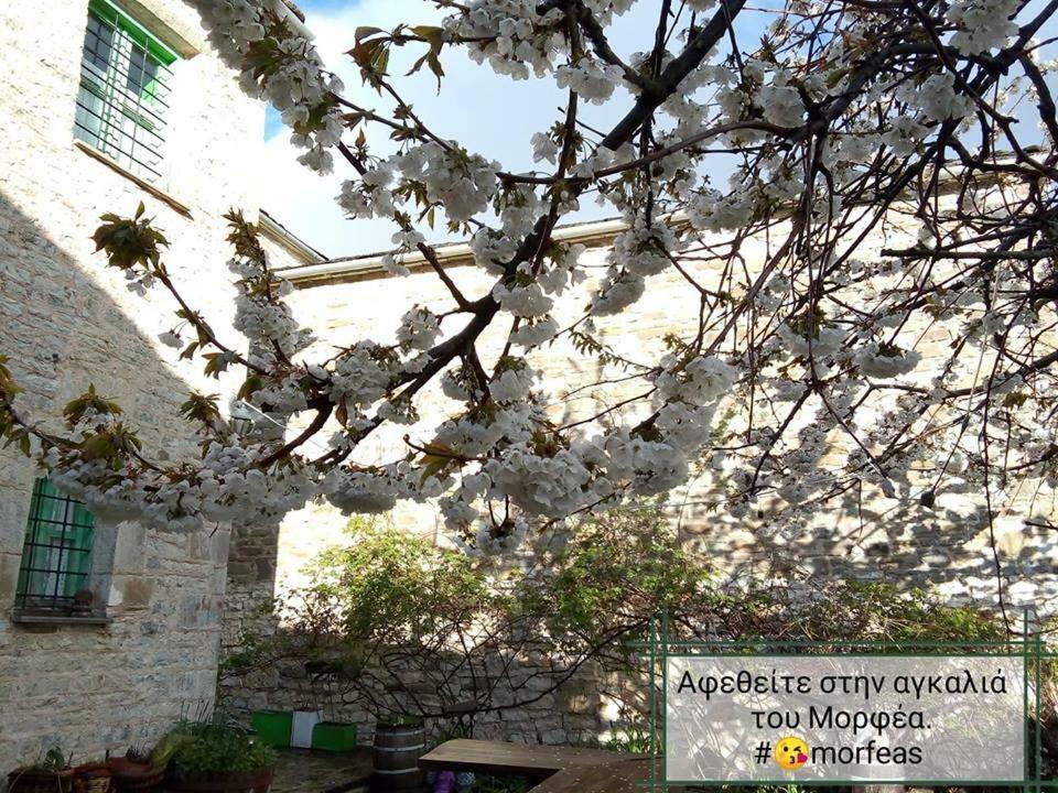 Morfeas Guesthouse Papingo Exterior foto