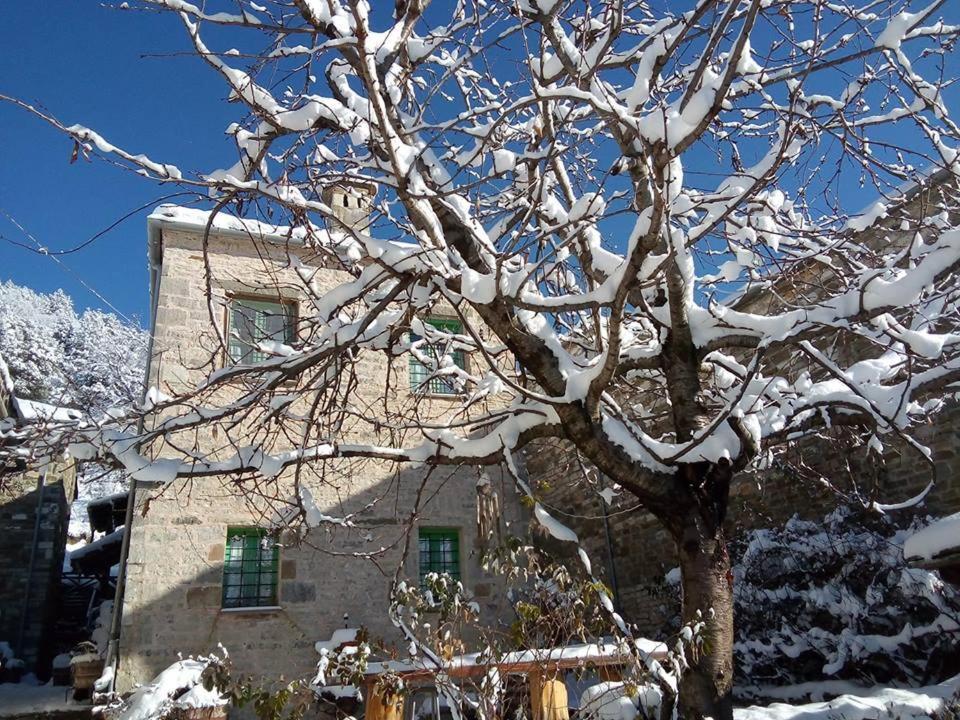 Morfeas Guesthouse Papingo Exterior foto